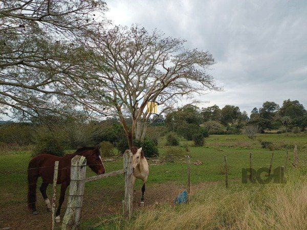 SÍTIO  COM 4 HECTARES NO BAIRRO ITAPUÃ EM VIAMÃO/RS