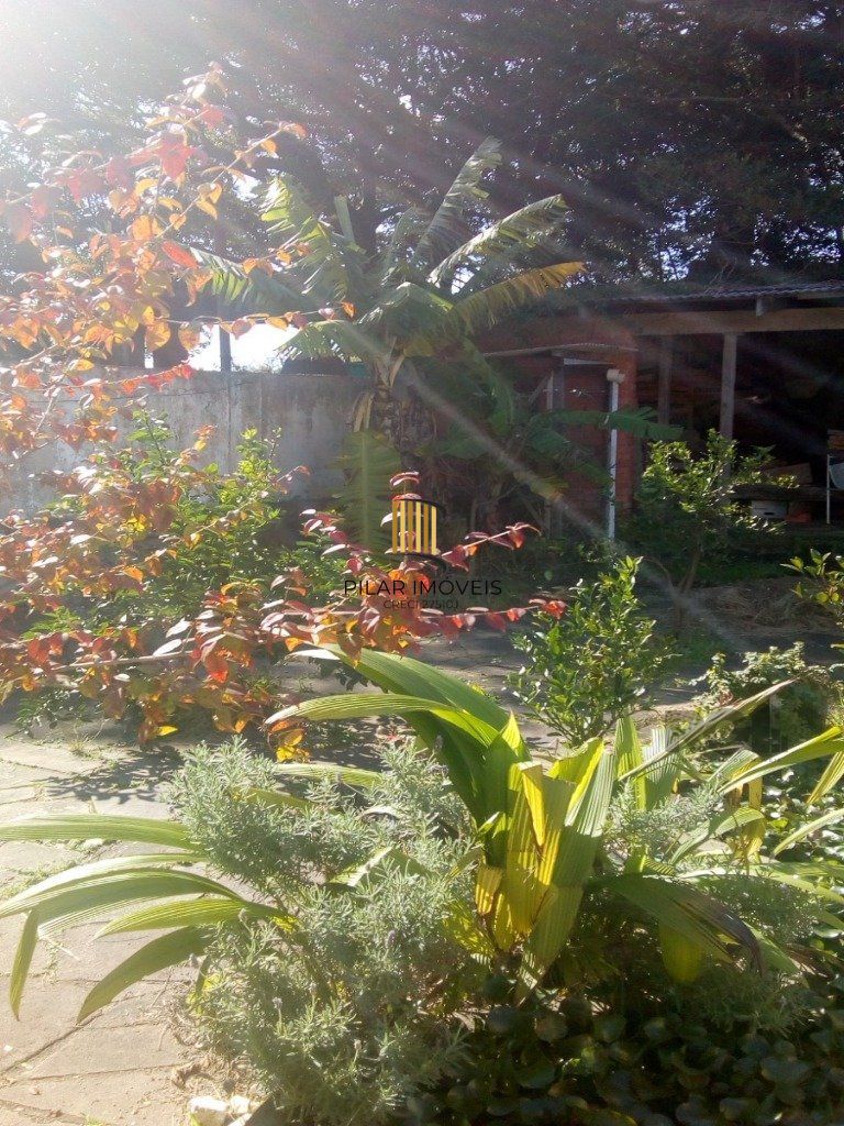 Casa 3 Dormitório(s) Bairro Belém Velho