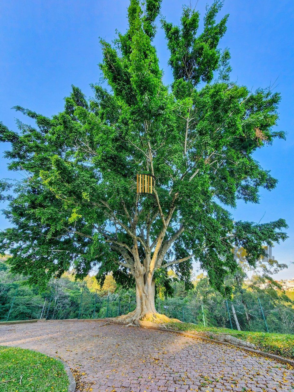 Casa de Fazenda com 1.318m²