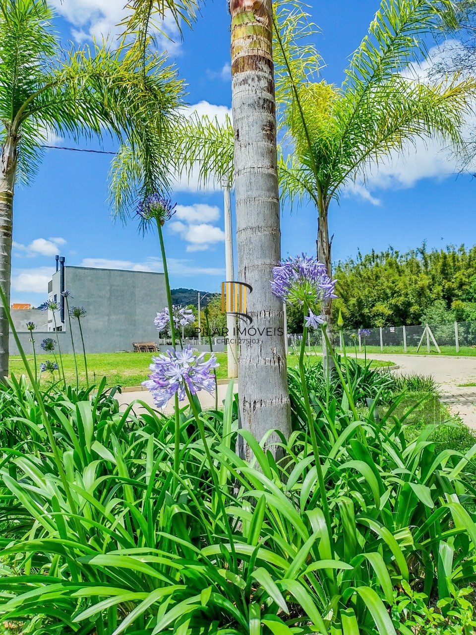 Casa Condominio 3 Dormitório(s) Bairro Campo Novo