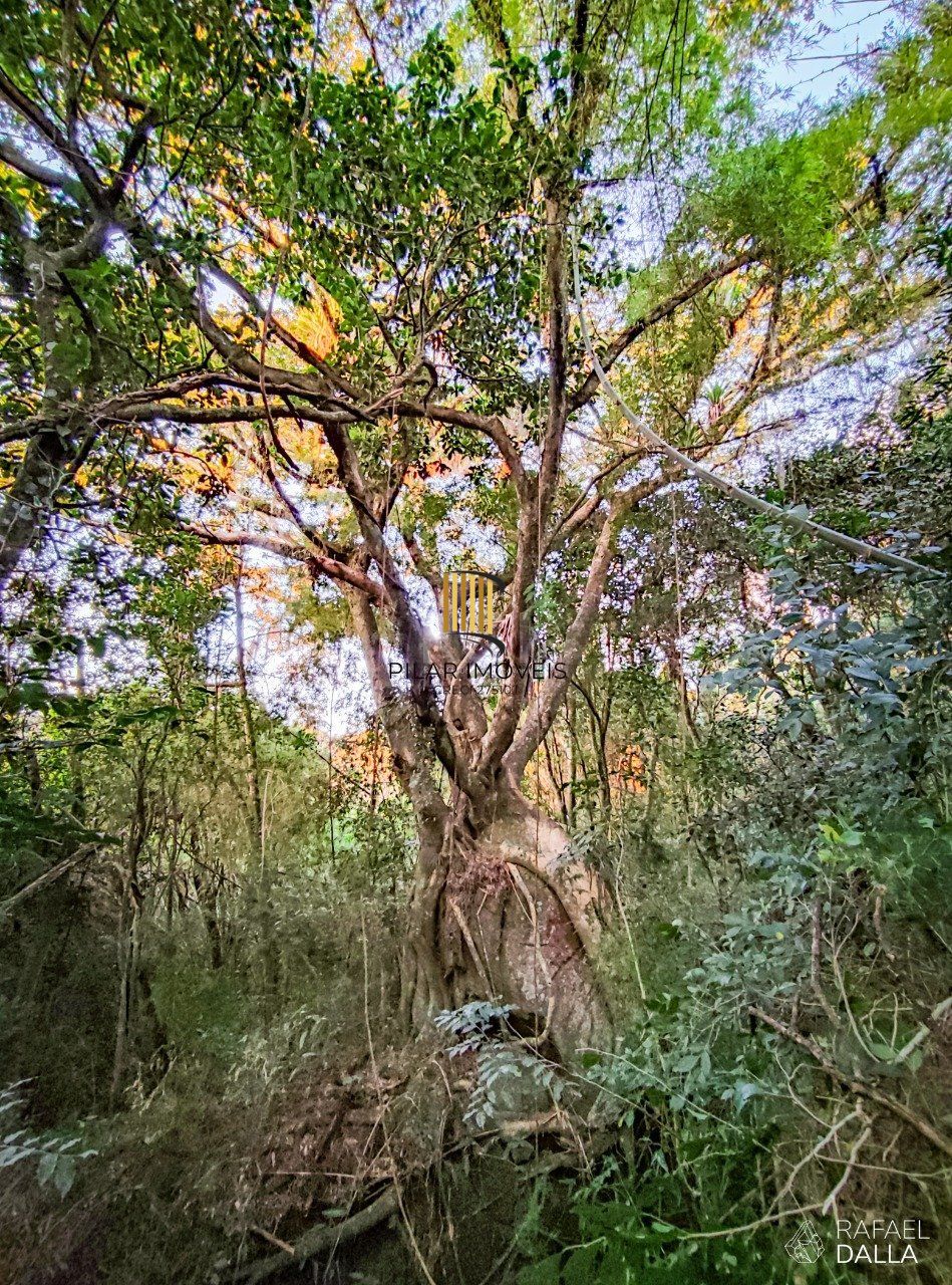 Excelente Lote Comercial