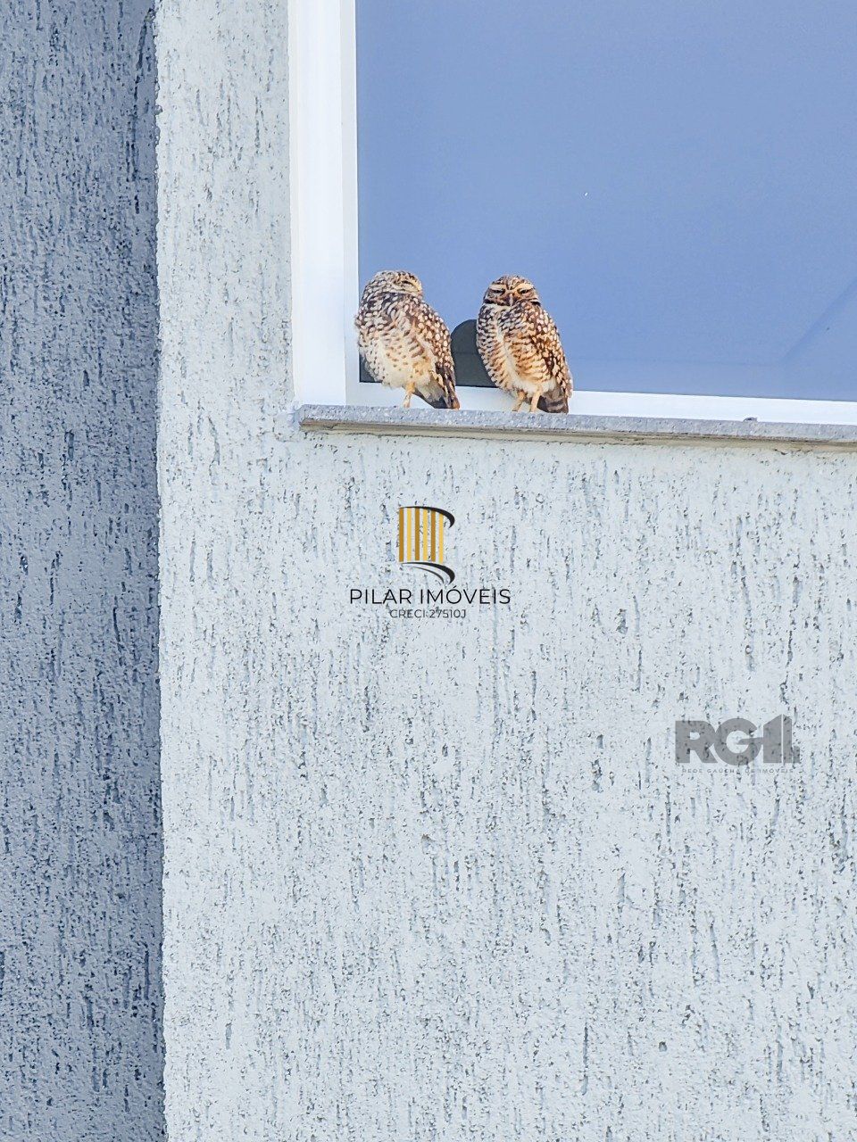 Casa Condominio 3 Dormitório(s) Bairro Campo Novo