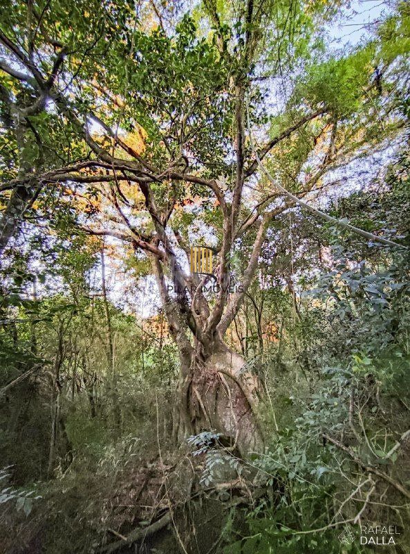 Terreno em Condominio para Venda - 0m², 0 dormitórios, Alphaville