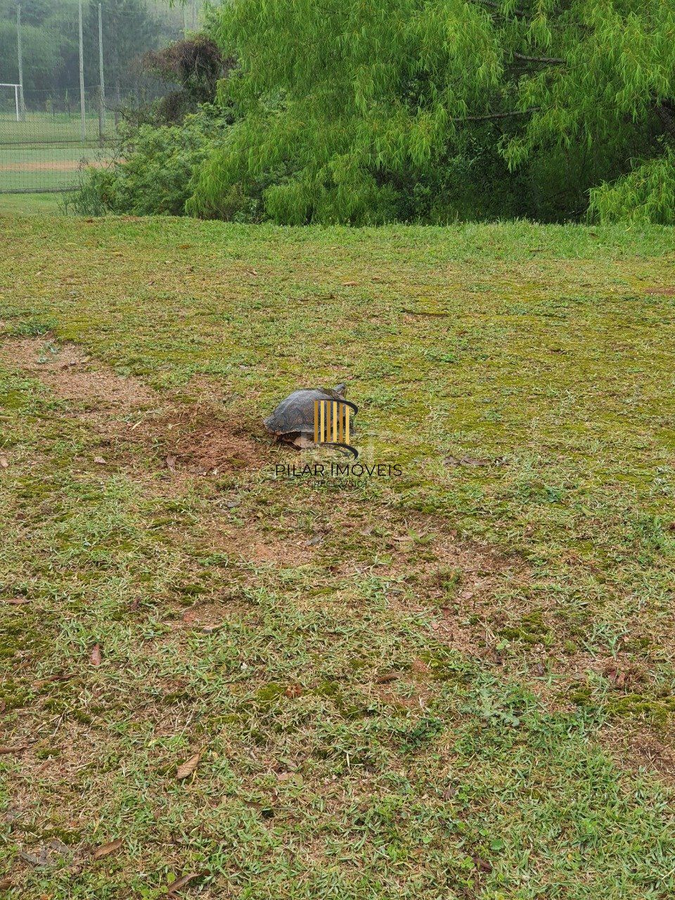 Terreno em Condominio para Venda - 509m², 0 dormitórios, Alphaville