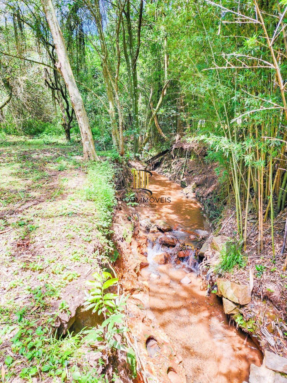 Casa Condominio 3 Dormitório(s) Bairro Campo Novo