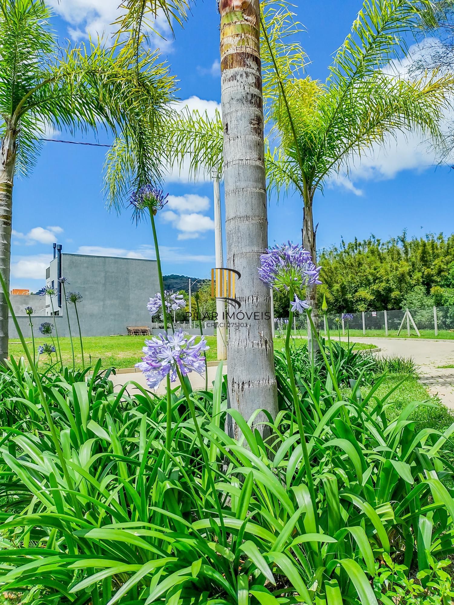 LOTE PLANO COM 122M²