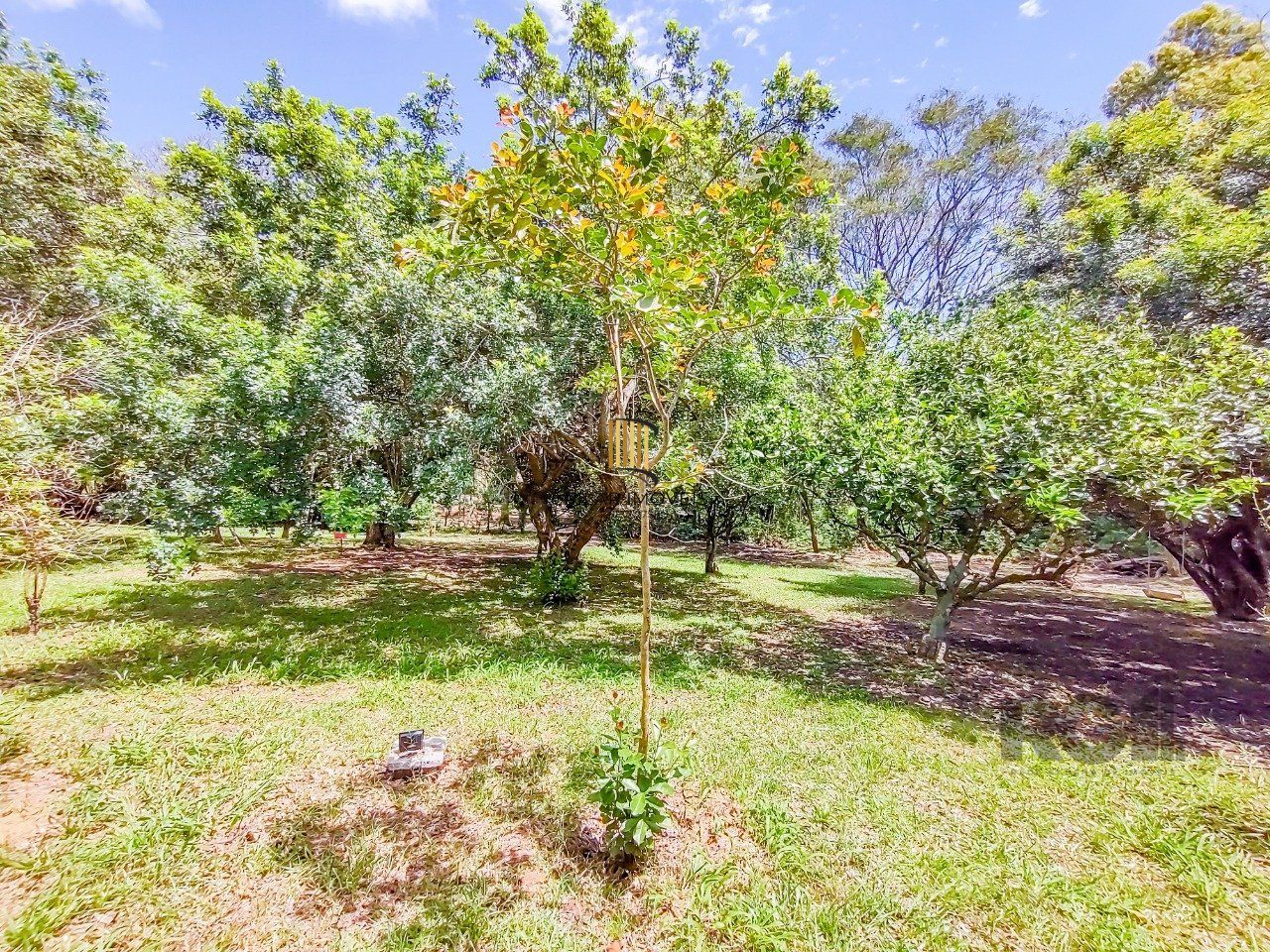 Casa Condominio 3 Dormitório(s) Bairro Campo Novo