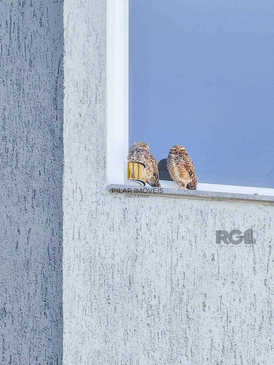 Casa Condominio 3 Dormitório(s) Bairro Campo Novo