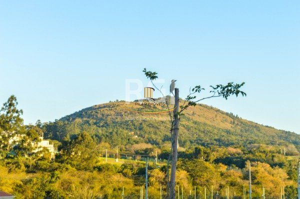 Terreno no bairro Alphaville