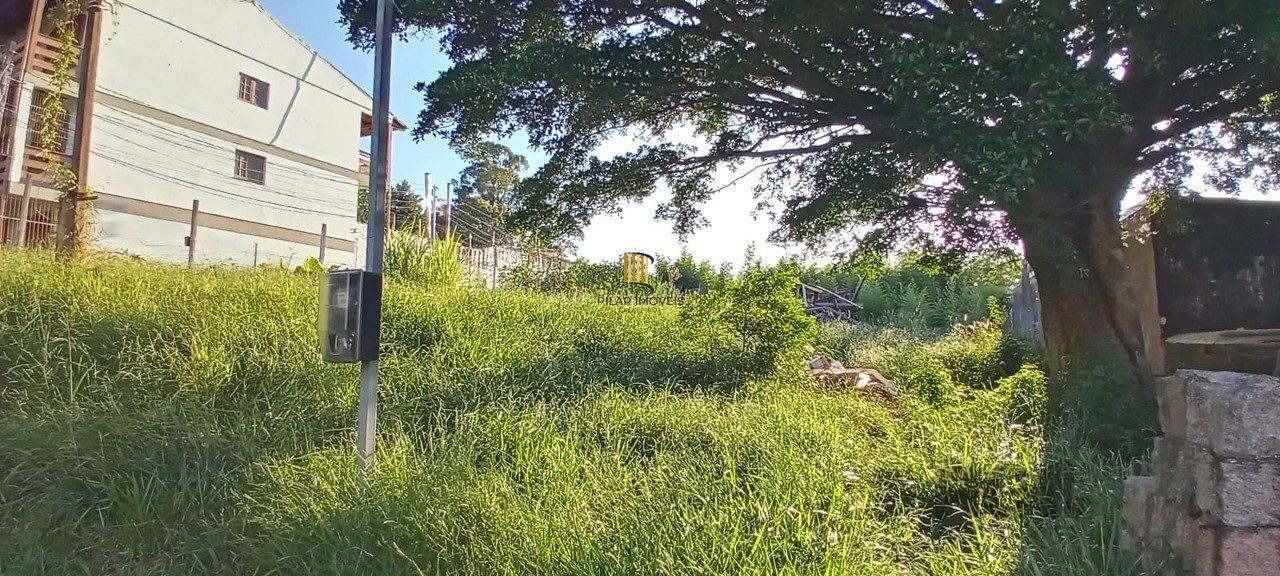 Terreno no Bairro Nonoai com 2.468,40m²