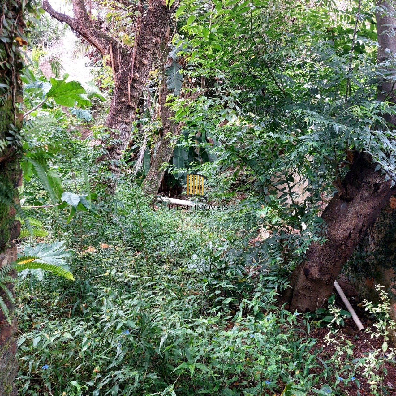 Terreno para Venda - 484m², 0 dormitórios, Cristal, Porto Alegre