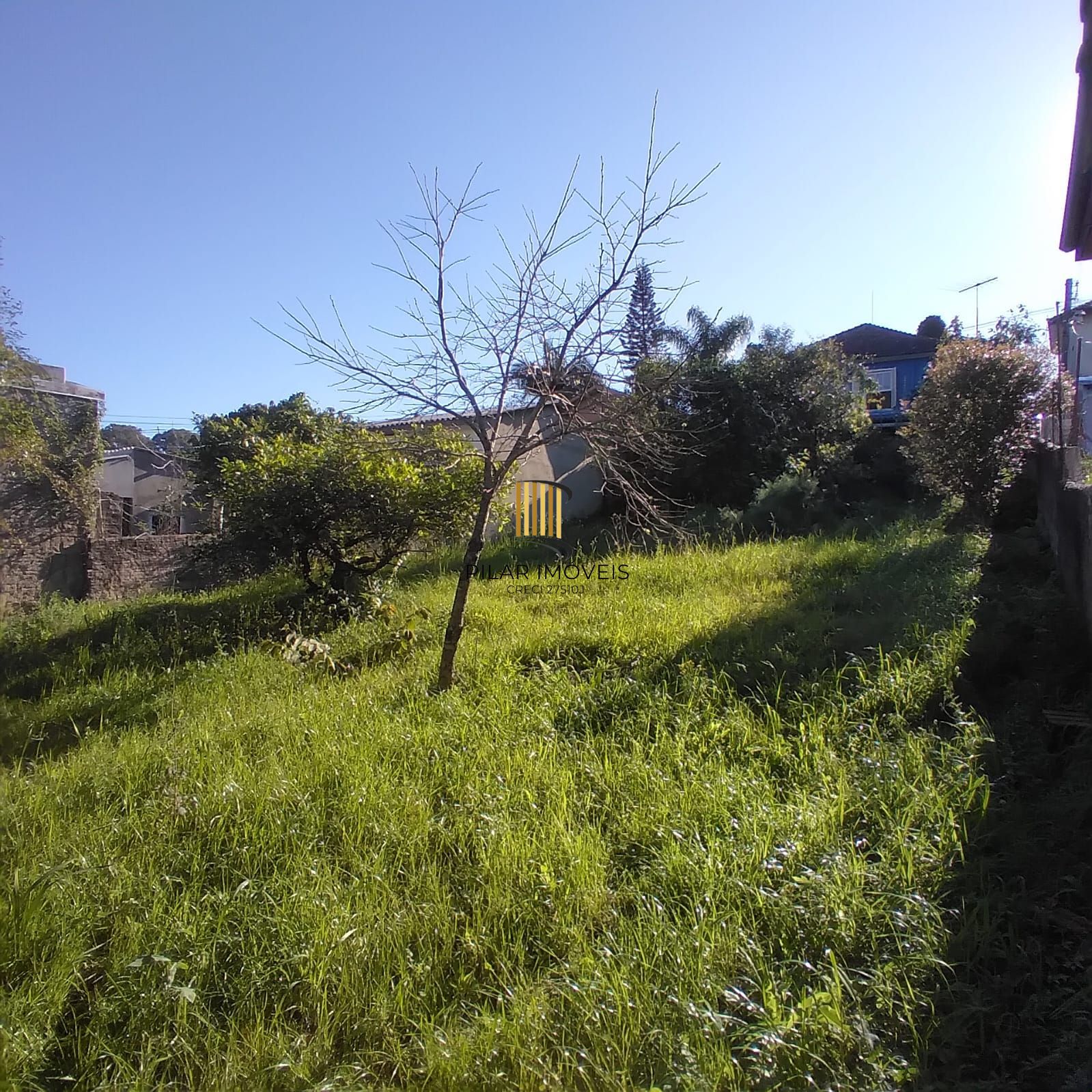 EXCELENTE TERRENO EM BELÉM VELHO