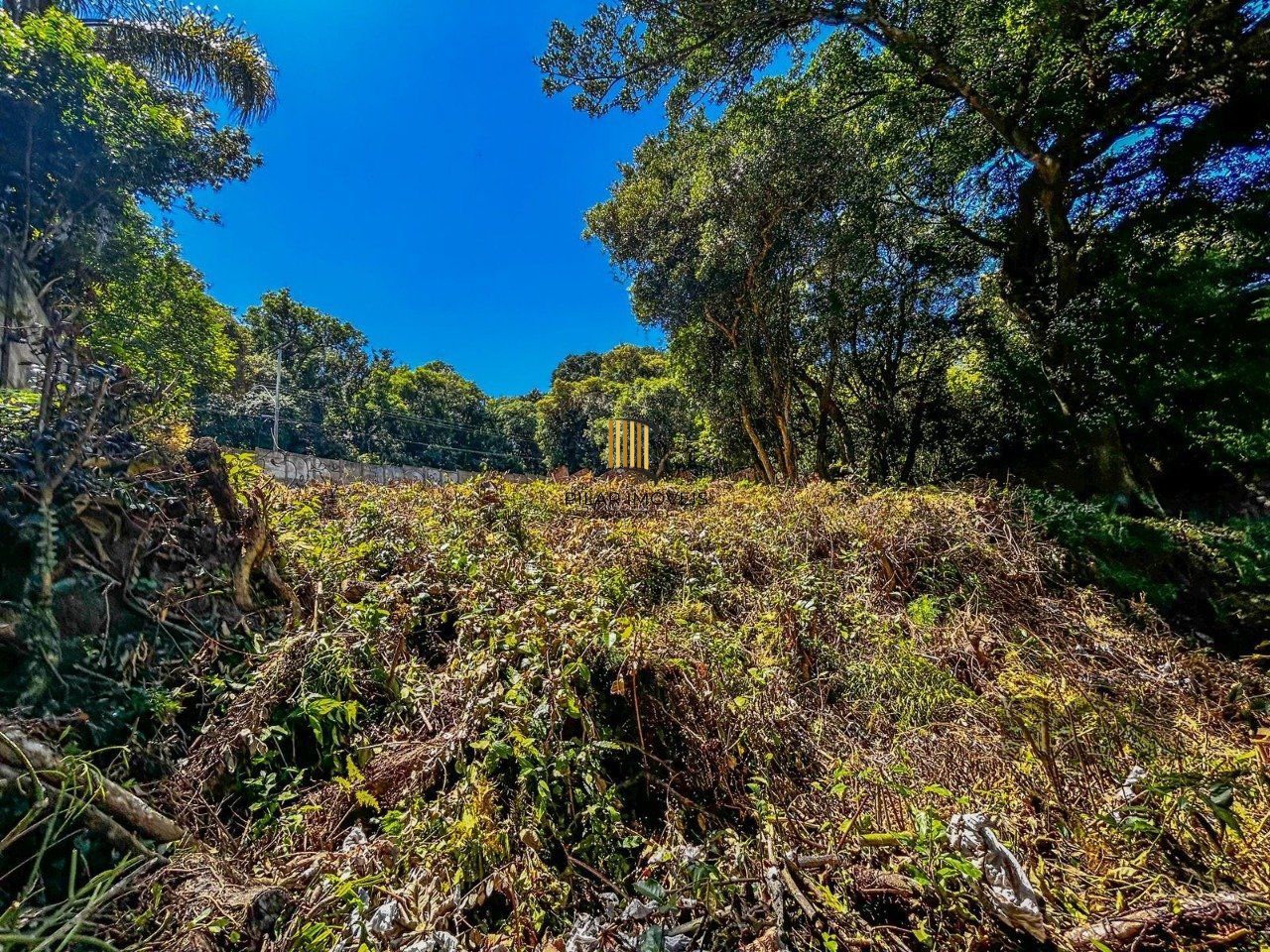 Terreno no bairro Ipanema