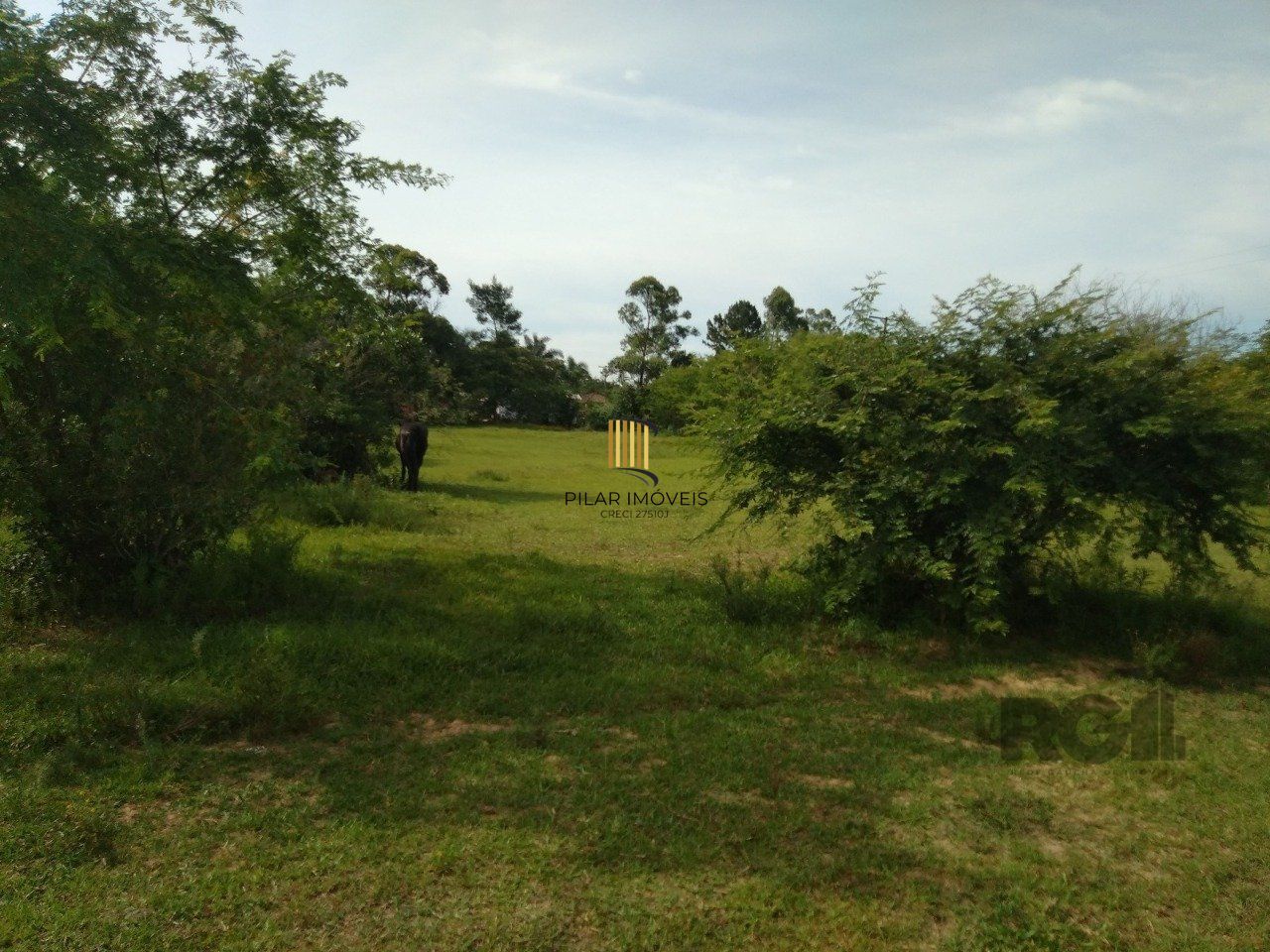 SITIO EM VIAMAO, RS, A VENDA, NAS PROXIMIDADES COM RS-040 E CONDOMINIO GOUFE II