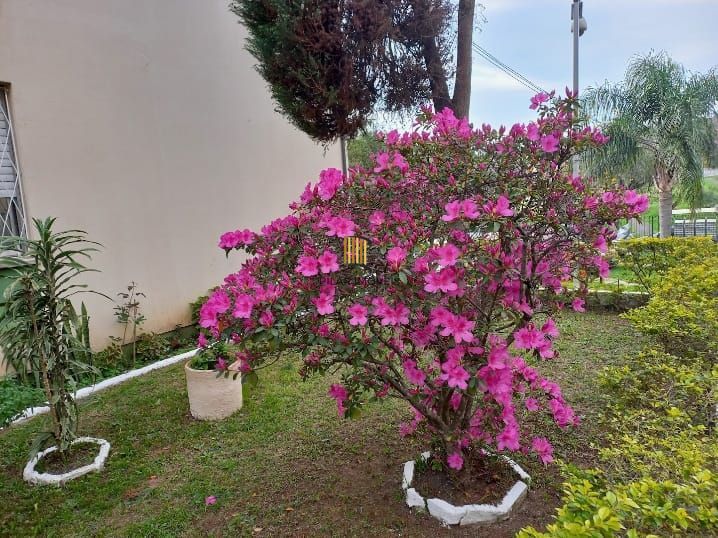 Apartamento de 2 dormitórios com vaga no bairro Vila Nova