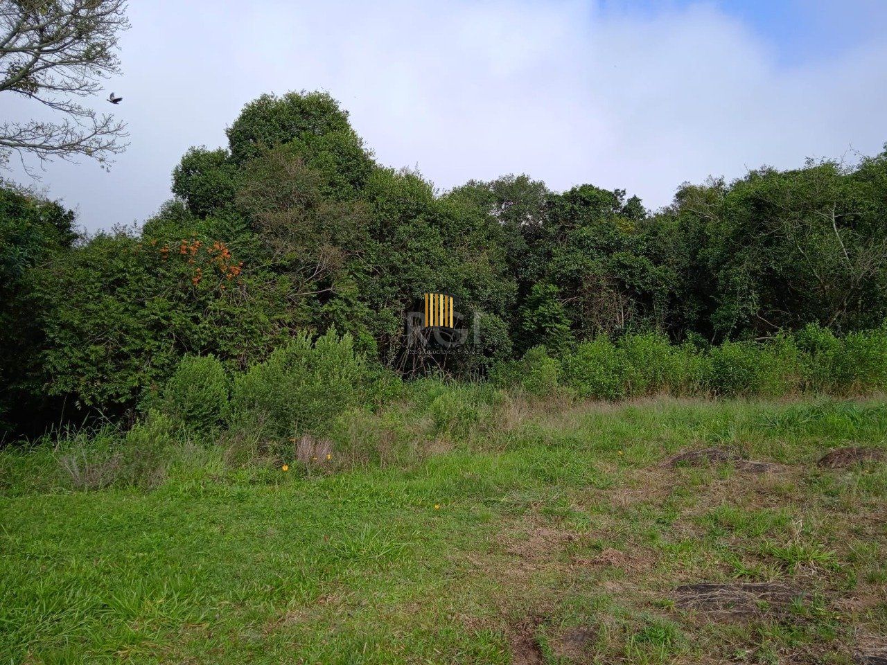 Terreno para Venda - 4950m², 0 dormitórios, Vila Nova, Porto Alegre