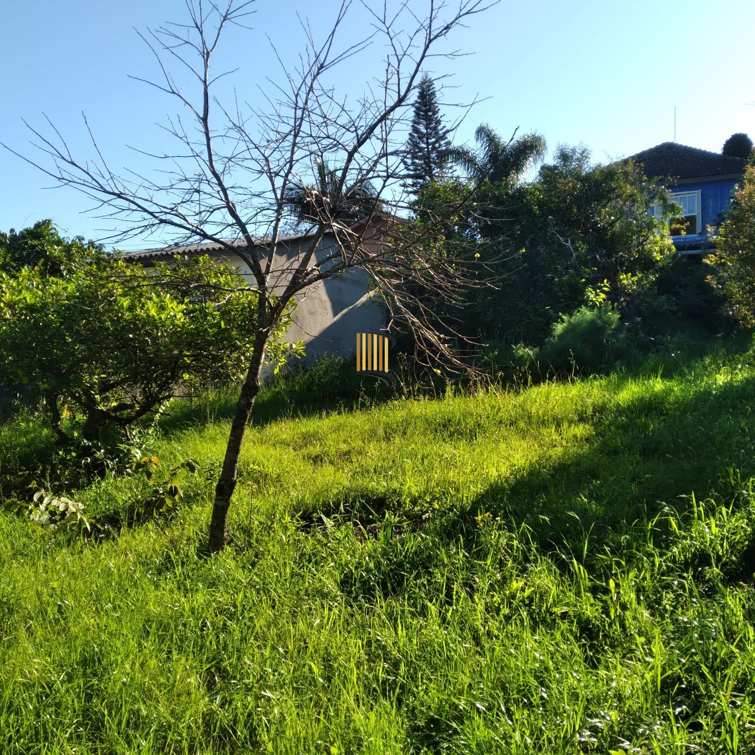 EXCELENTE TERRENO EM BELÉM VELHO