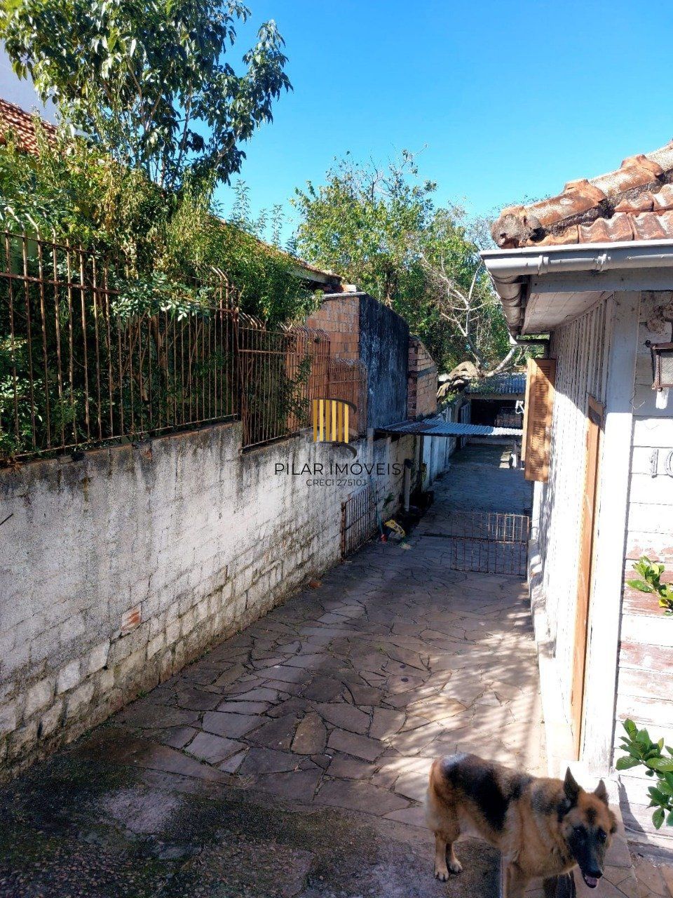 Terreno para Venda - 484m², 0 dormitórios, Cristal, Porto Alegre