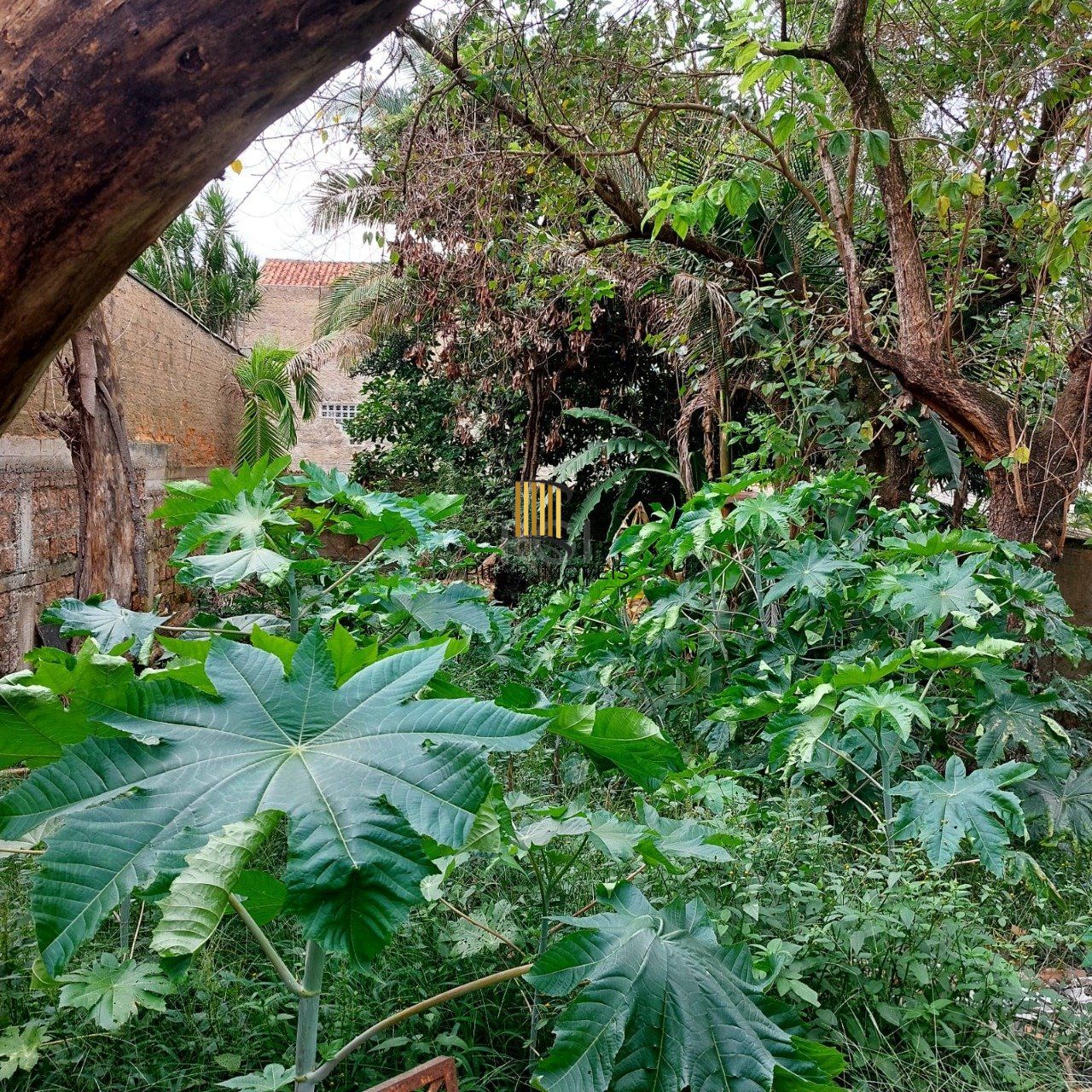 Terreno para Venda - 484m², 0 dormitórios, Cristal, Porto Alegre