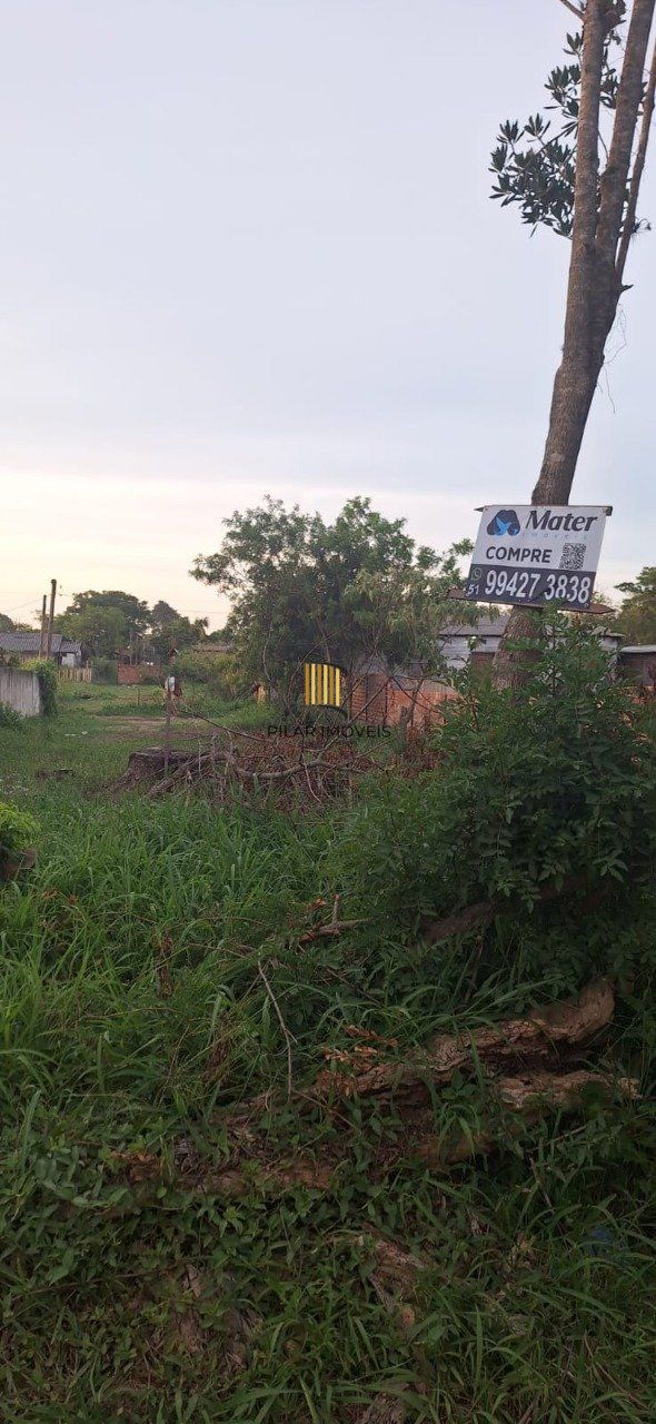 Terreno para Venda - 300M², Lageado, Porto Alegre