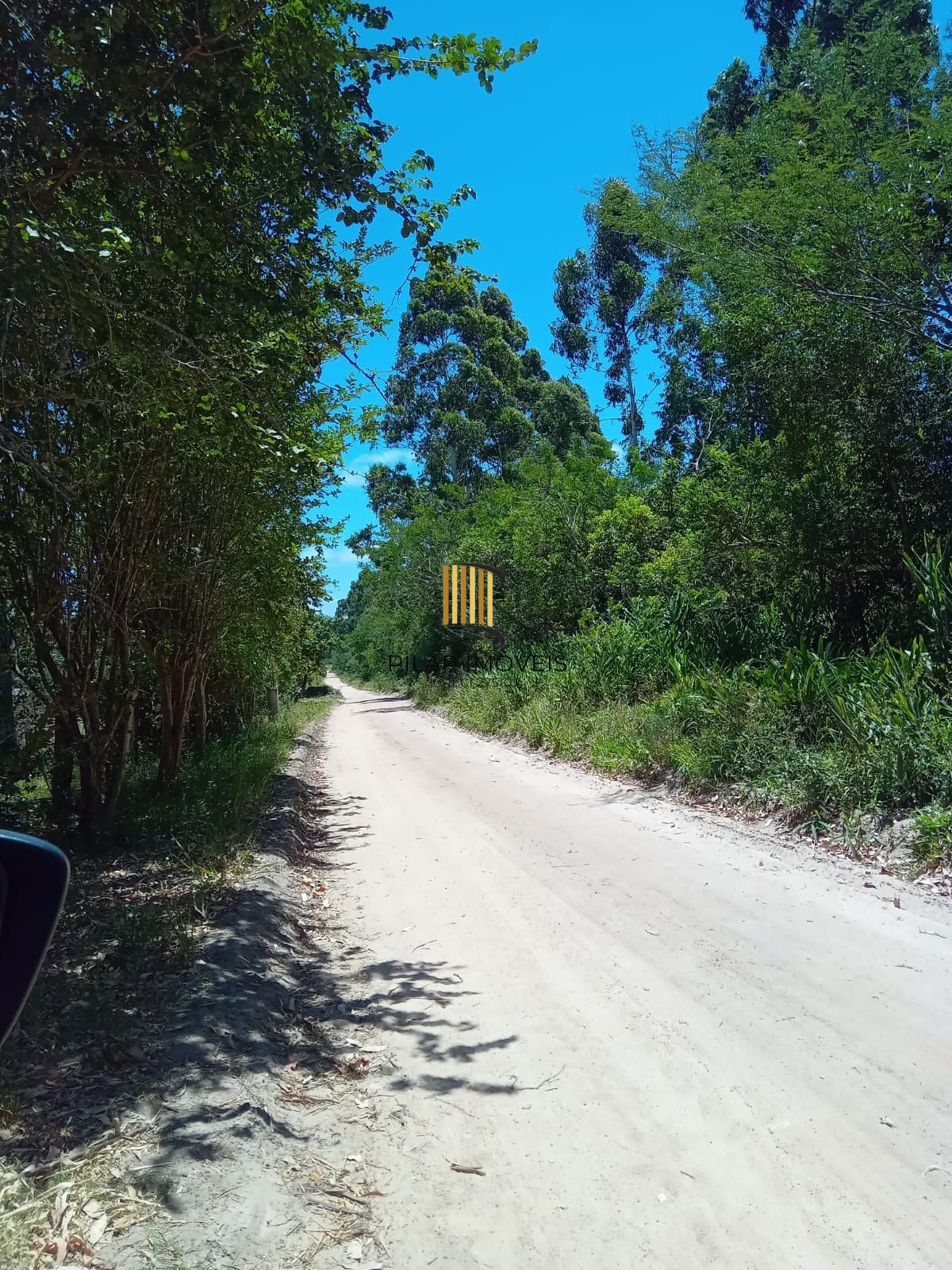 Sitio com 13 mil metros com casa !