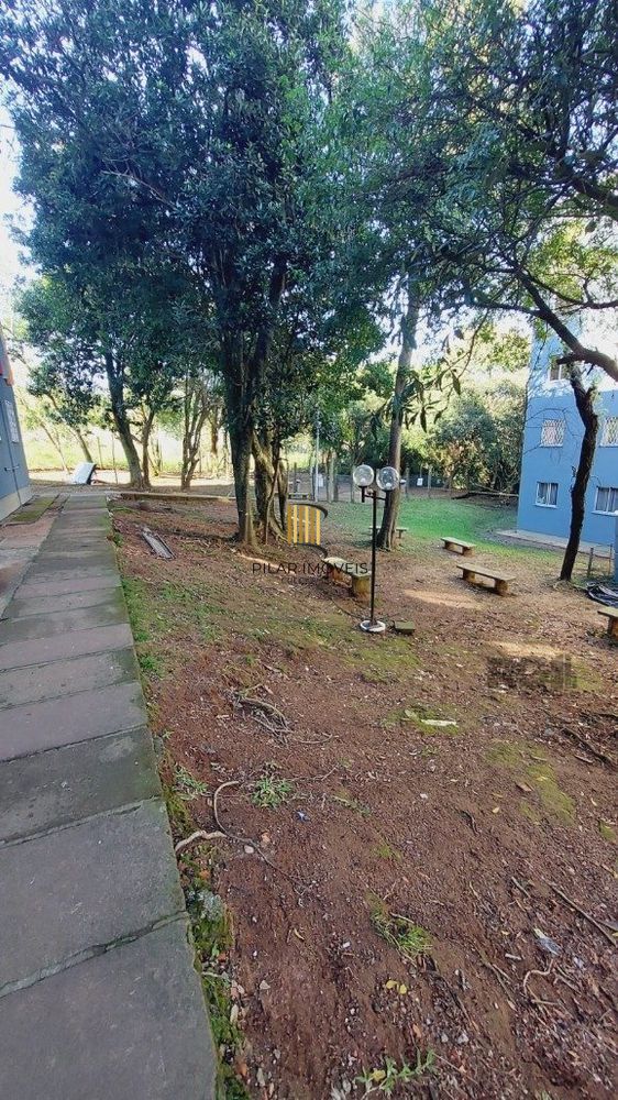 Apartamento de 2 dormitórios com 1 vaga Zona sul de Porto Alegre