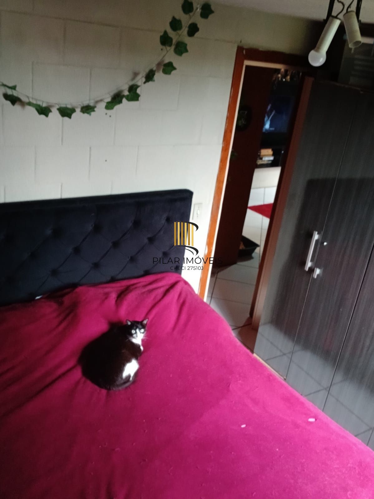 Apartamento 2 quartos Condomínio San Rafael Vila Nova Porto Alegre