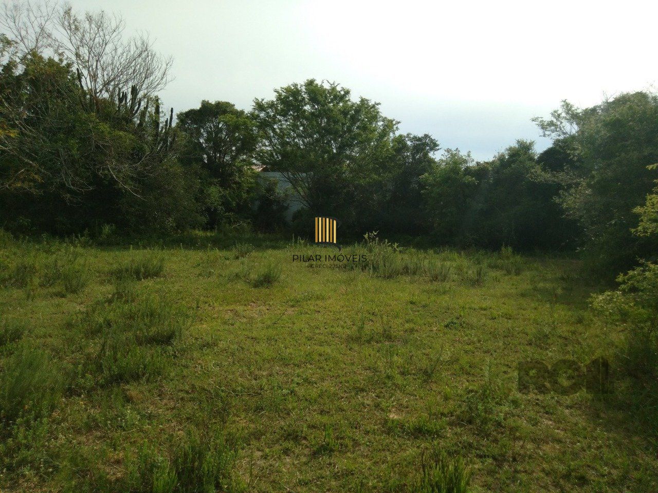 SITIO EM VIAMAO, RS, A VENDA, NAS PROXIMIDADES COM RS-040 E CONDOMINIO GOUFE II