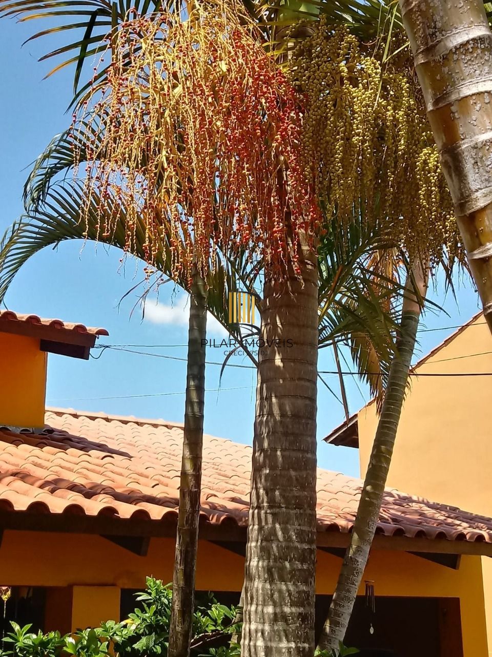 Casa para Venda - 693.6m², 5 dormitórios, sendo 3 suites, 4 vagas - Hípica