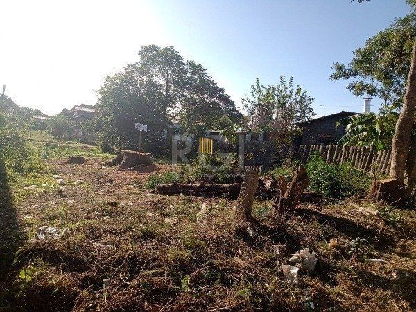 Terreno para Venda - 300M², Lageado, Porto Alegre