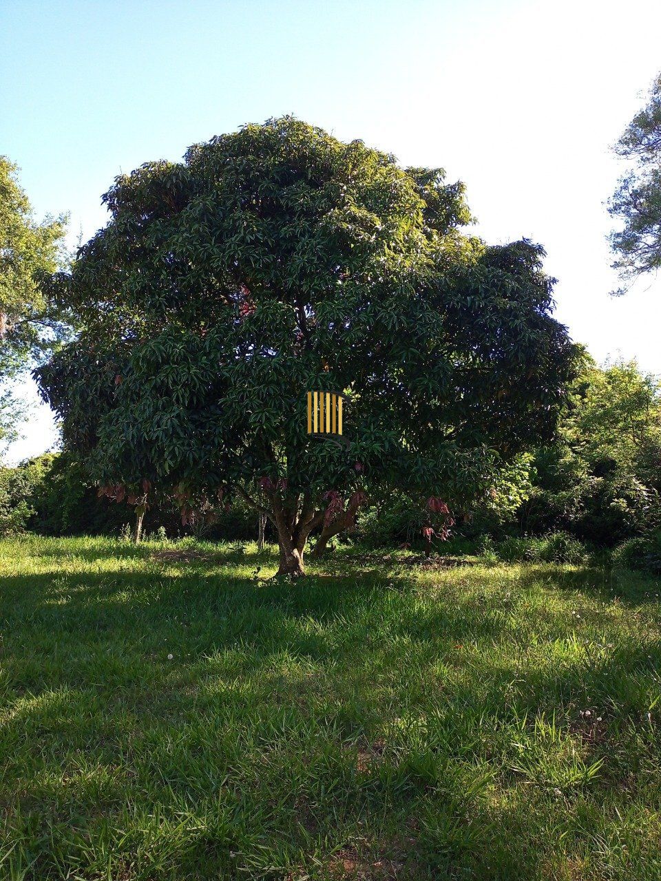 Sitio com 2hectares, Morro Grande em Viamão/RS