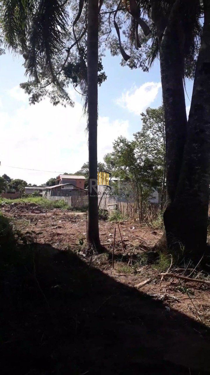 Terreno para Venda - 300M², Lageado, Porto Alegre