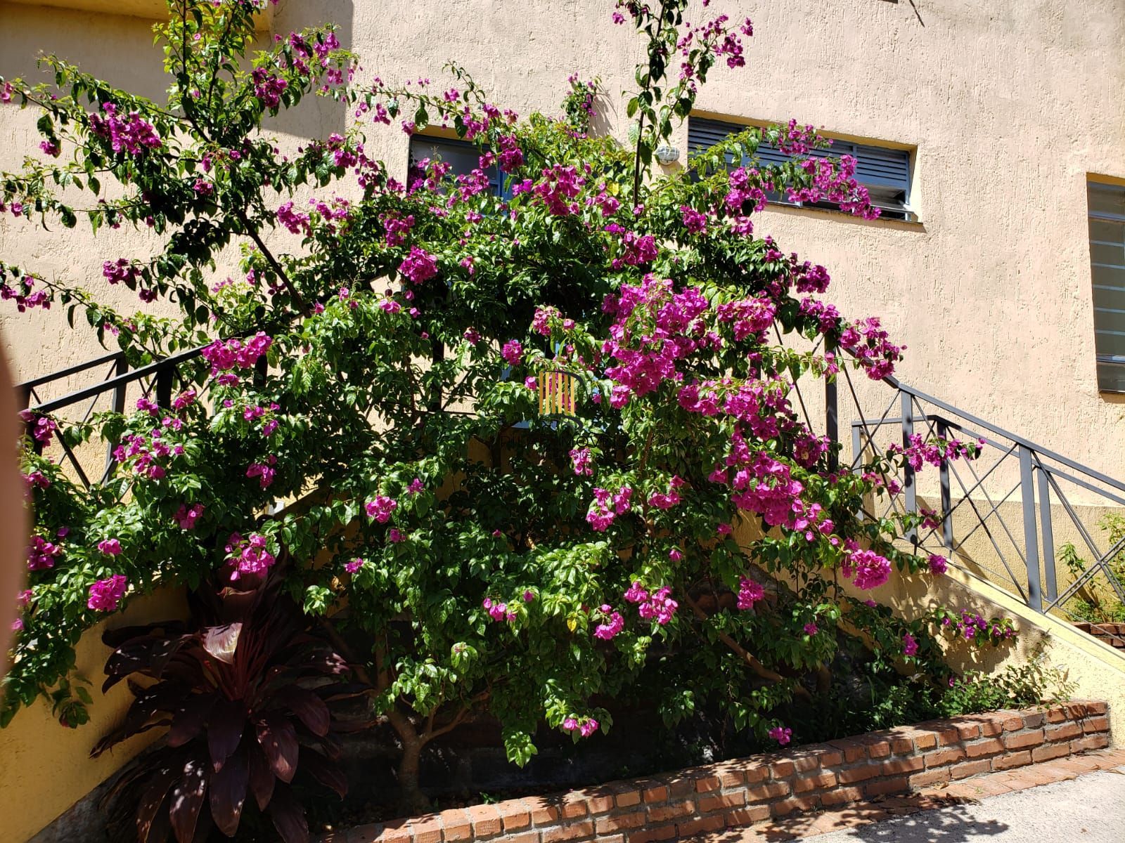 Casa Centenária no Bairro Belém Velho Residencial/Comercial