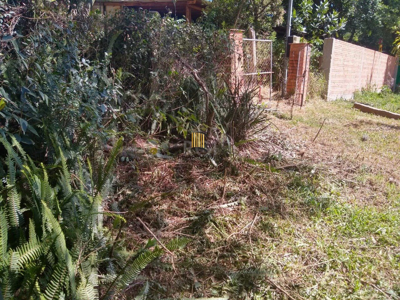 Sítio em Itapoã, Viamão/RS.  lazer e natureza o ano todo!