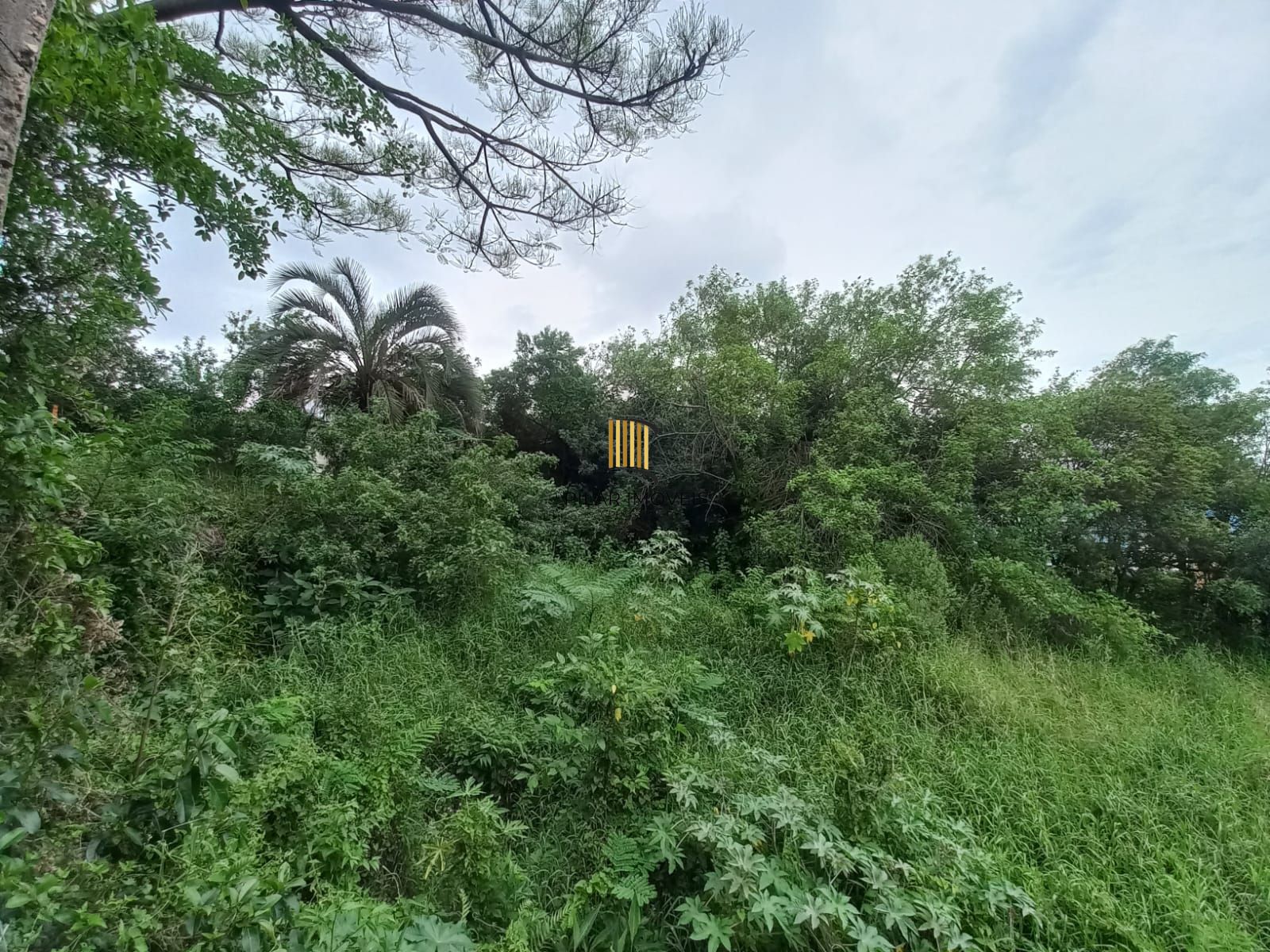 Terreno com Projeto Aprovado para 33 sobrados na Zona Sul de Porto Alegre