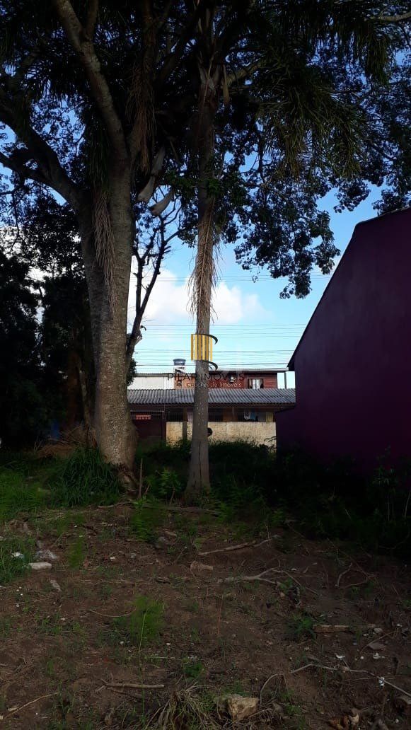 Terreno para Venda - 300M², Lageado, Porto Alegre