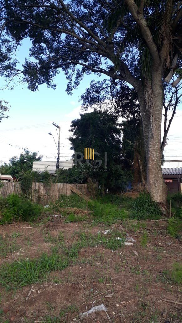 Terreno para Venda - 300M², Lageado, Porto Alegre