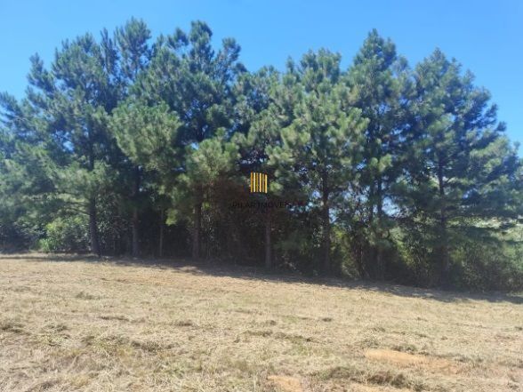 Oportunidade Única! Terreno Residencial com 1.943m² à Venda em Viamão, RS