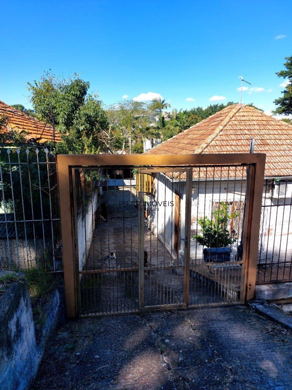 Terreno para Venda - 484m², 0 dormitórios, Cristal, Porto Alegre - Pilar Imóveis