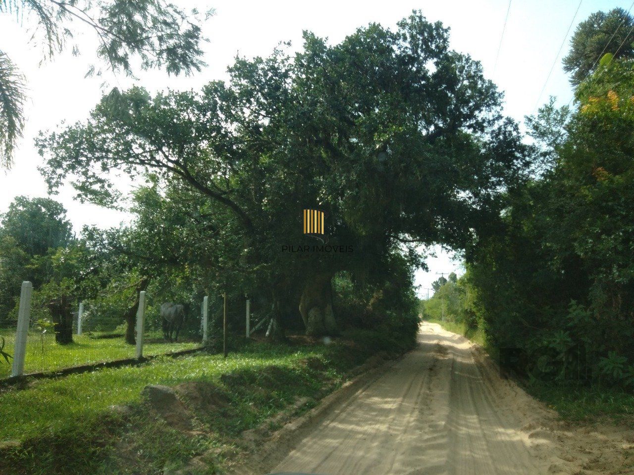 SITIO EM VIAMAO, RS, A VENDA, NAS PROXIMIDADES COM RS-040 E CONDOMINIO GOUFE II