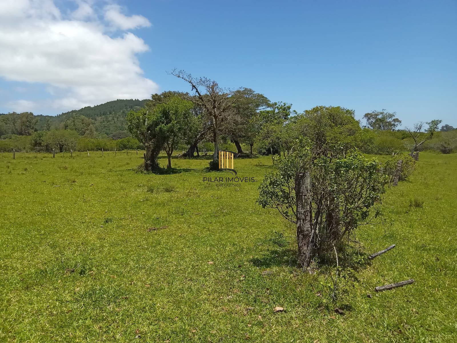 Sitio com 13 mil metros com casa !