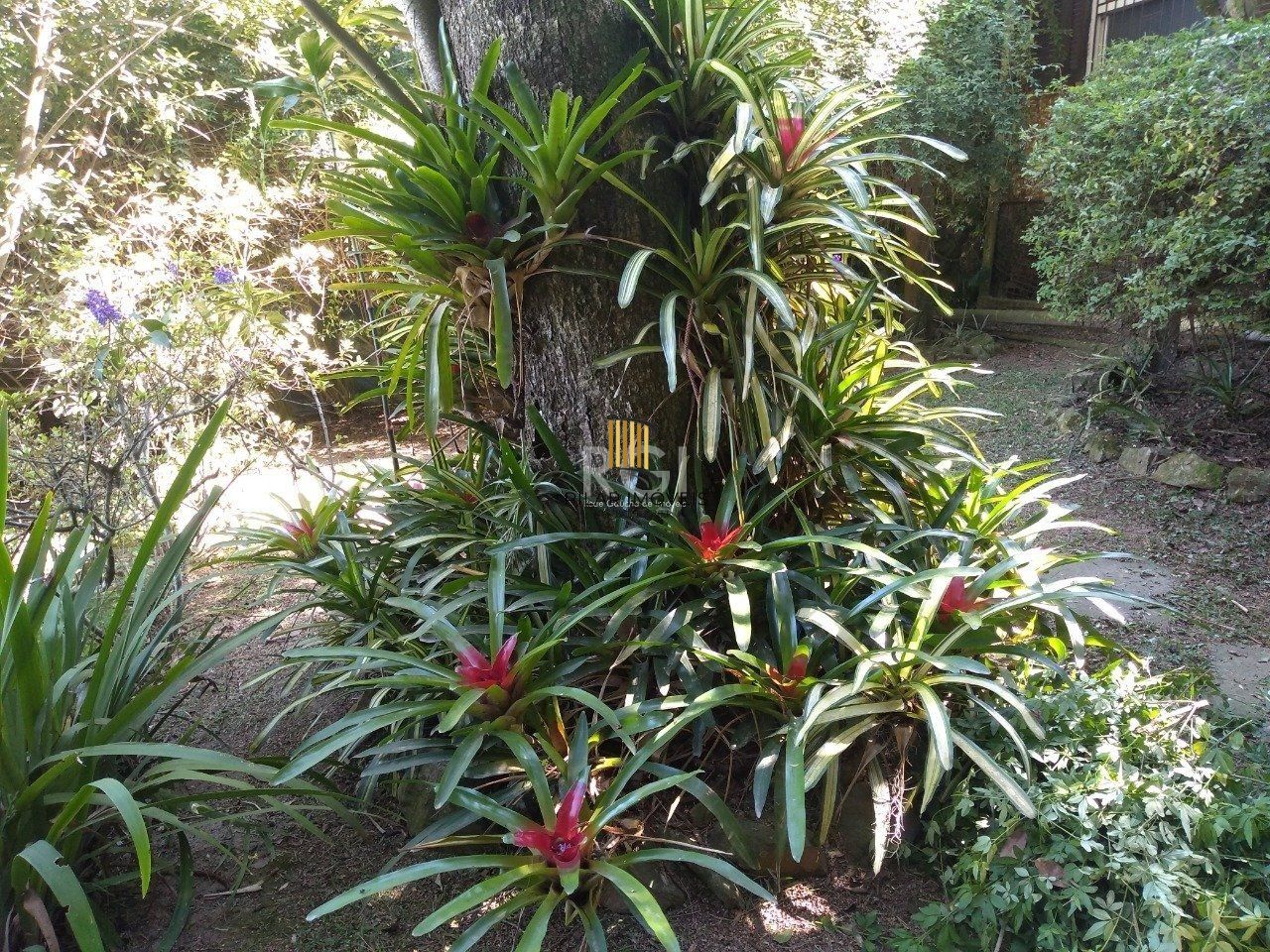 Casa para Venda - 290m², 13 dormitórios, sendo 6 suites, 10 vagas - Belém Novo, Porto Alegre