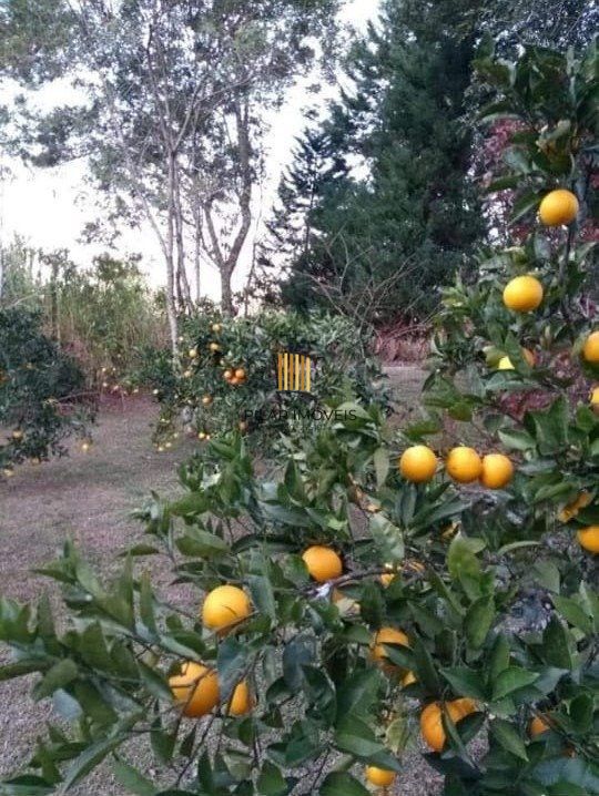 Sitio com casa de 90m², 2 quartos, sacada, Serra Grande em Gramad