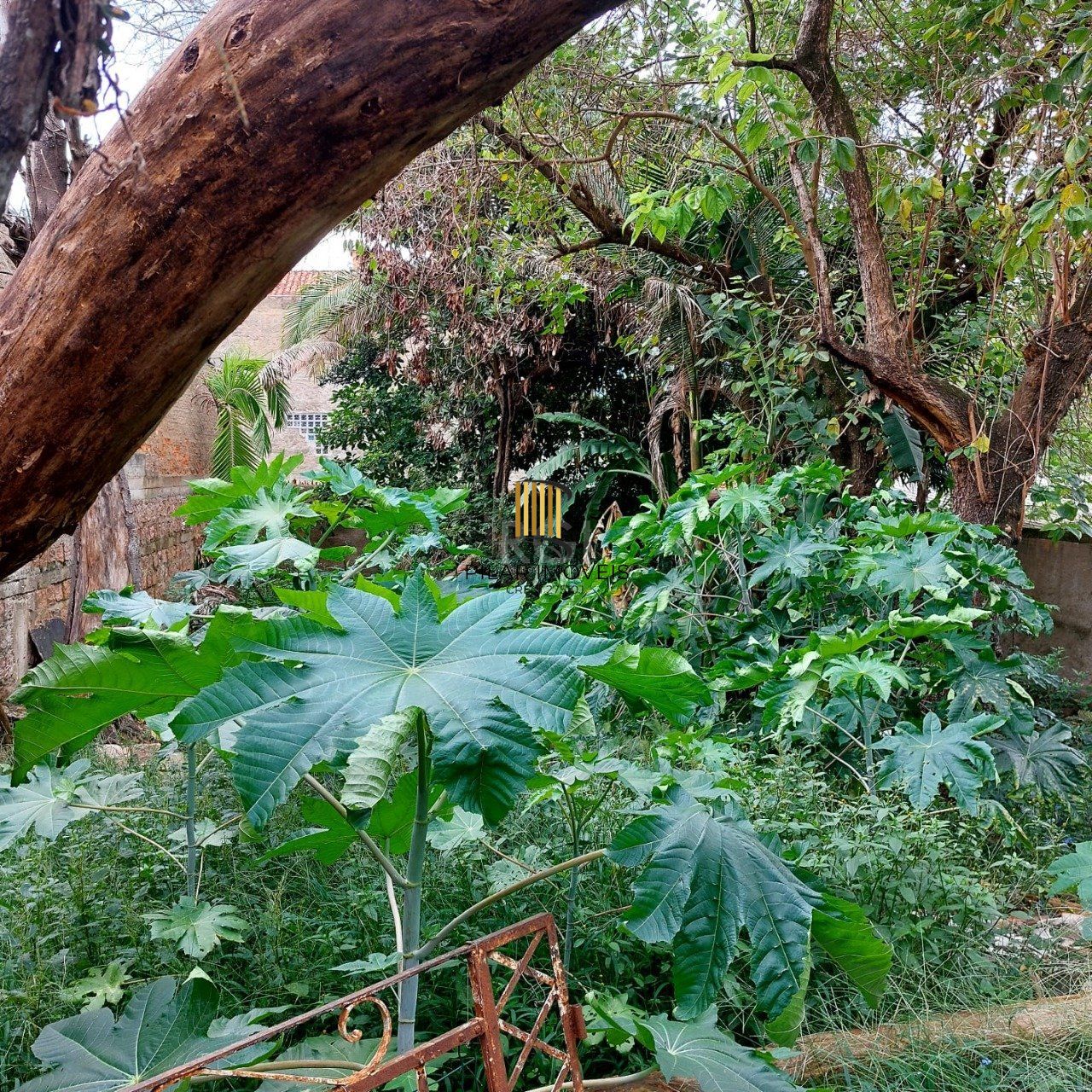 Terreno para Venda - 484m², 0 dormitórios, Cristal, Porto Alegre
