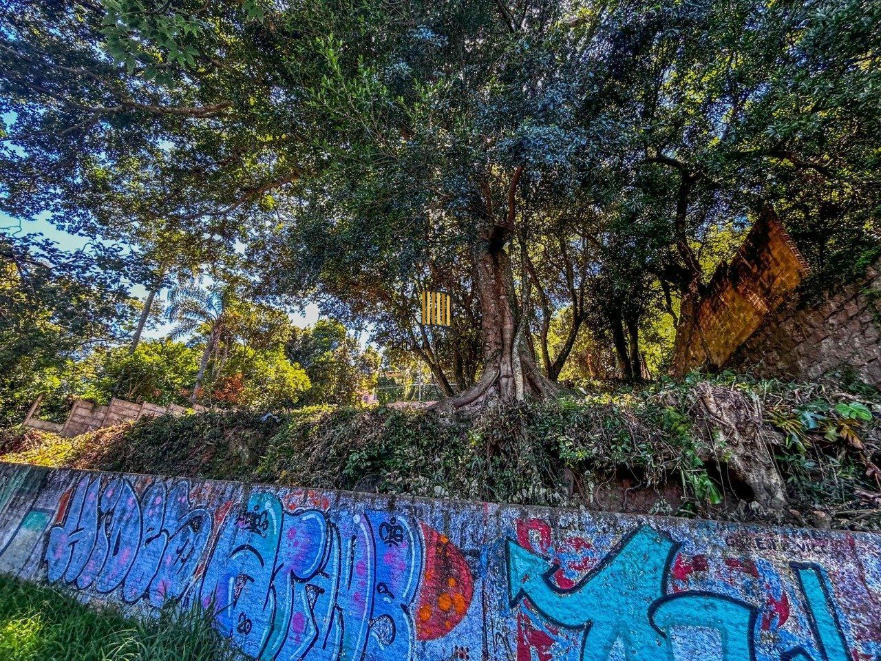 Terreno no bairro Ipanema