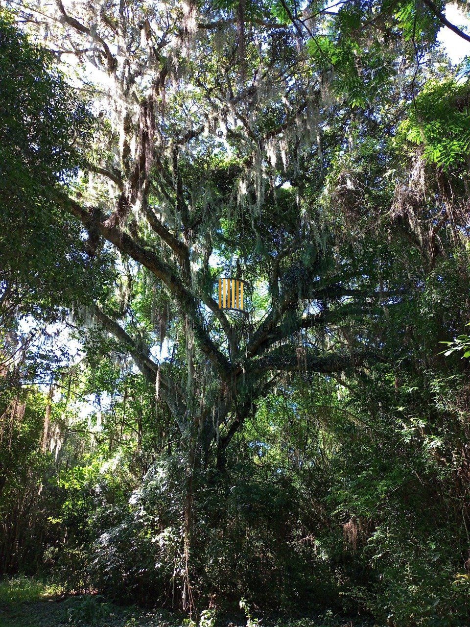 Sitio com 2hectares, Morro Grande em Viamão/RS