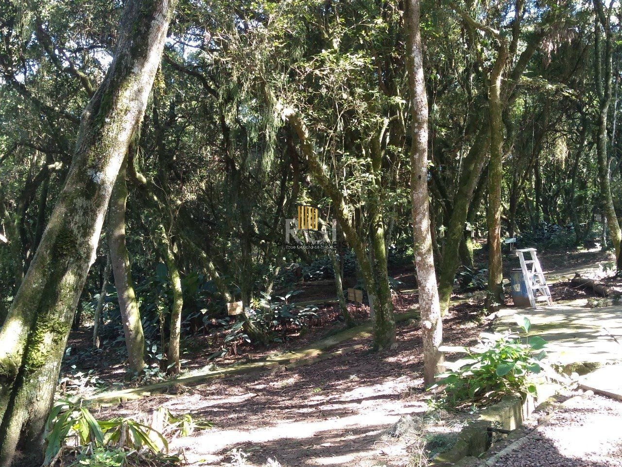 Casa para Venda - 290m², 13 dormitórios, sendo 6 suites, 10 vagas - Belém Novo, Porto Alegre