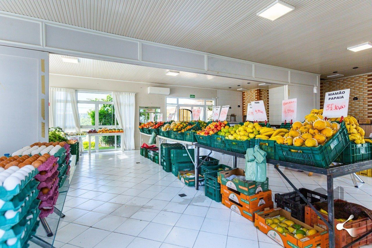 Apartamento 3 dormitórios, Cavalhada