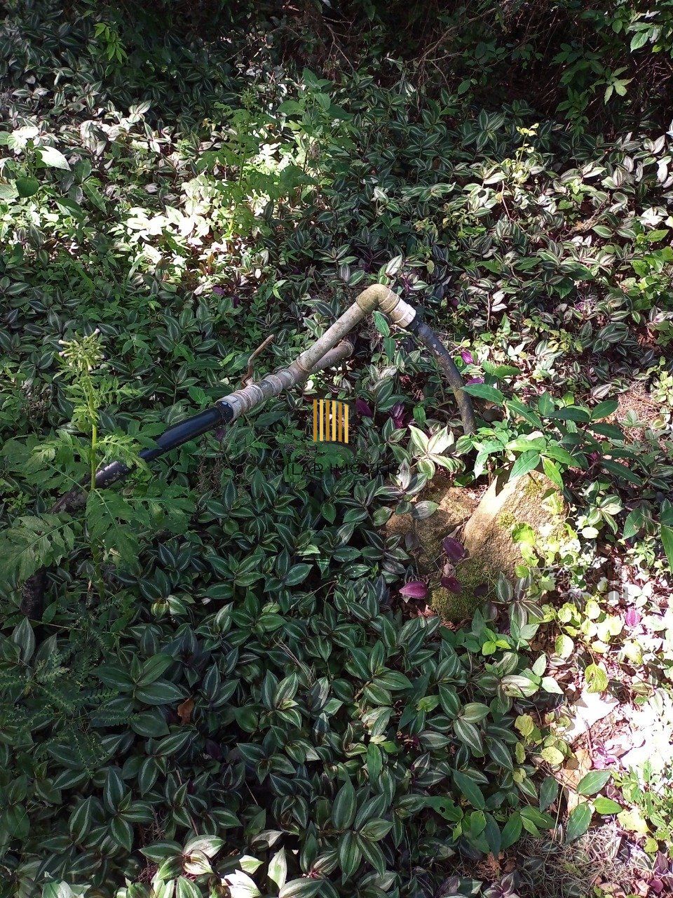 Sitio com 2hectares, Morro Grande em Viamão/RS