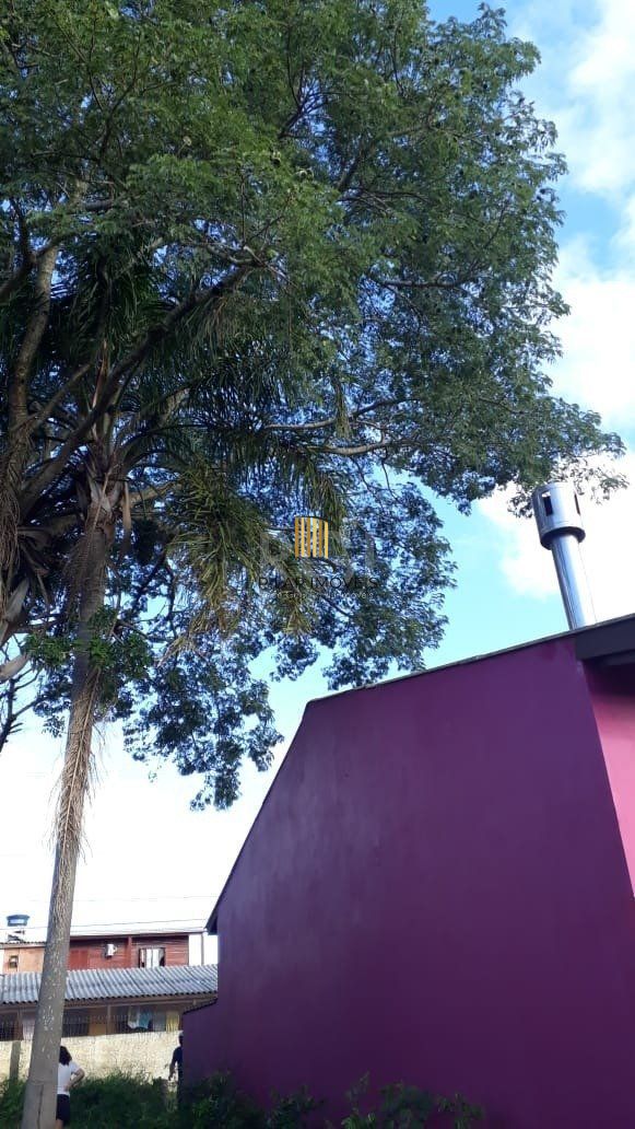 Terreno para Venda - 300M², Lageado, Porto Alegre